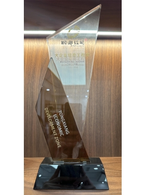 桐鄉(xiāng)市大企業(yè)培育工程獎