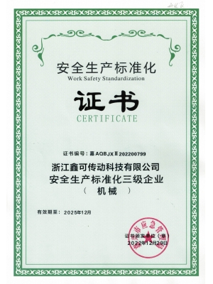 20221229效期2025年12月安標(biāo)化三級證書