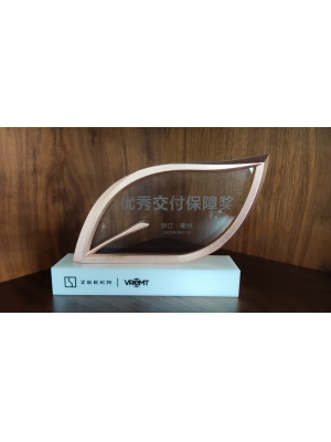 優(yōu)秀保障交付獎