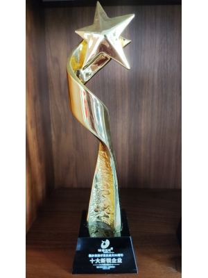 桐鄉(xiāng)經(jīng)濟(jì)開發(fā)區(qū)成立30周年 十大新銳企業(yè)